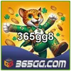 VIP 365gg8